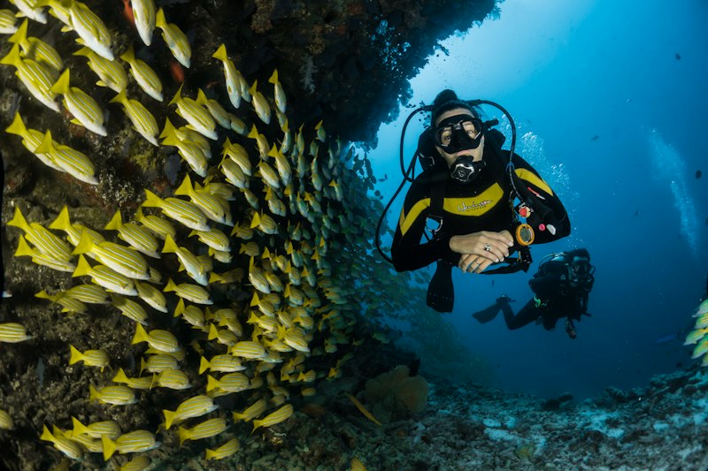 Mergulho guiado nas águas cristalinas de Arraial do Cabo · Photo 1