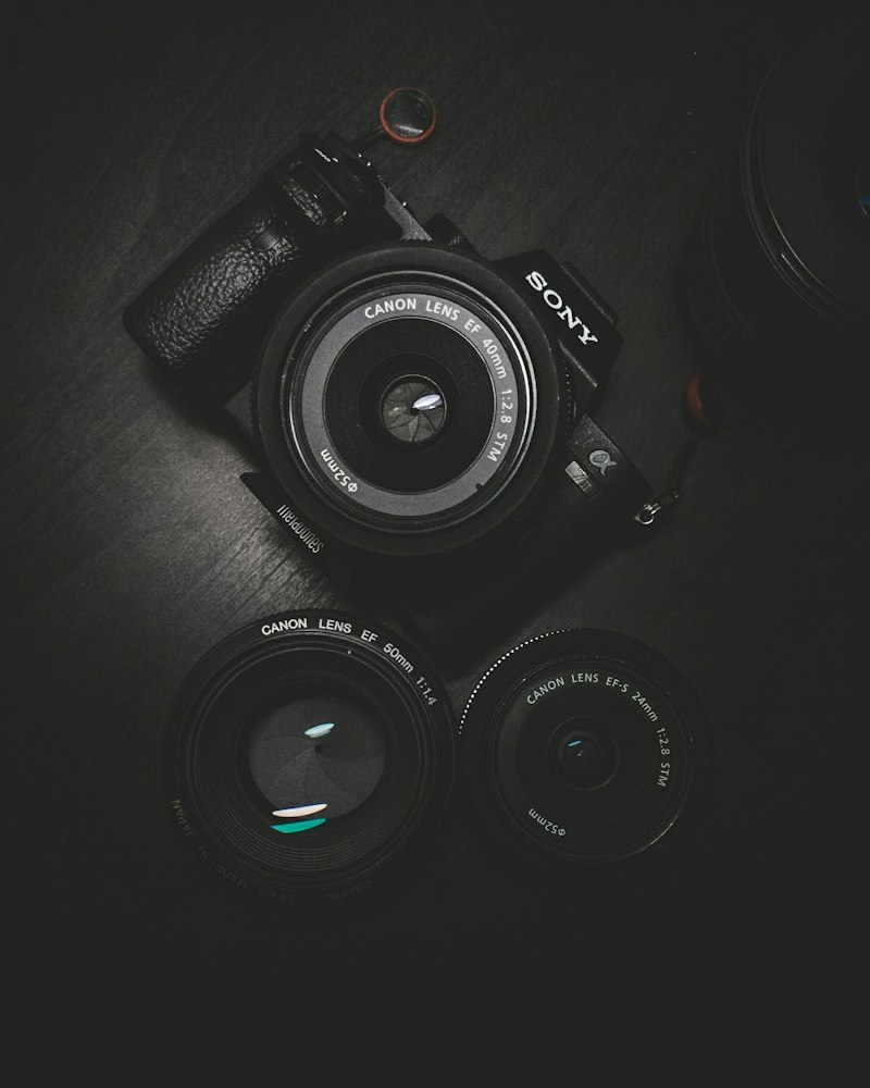 Ensaio fotográfico profissional de viagem · Photo 3