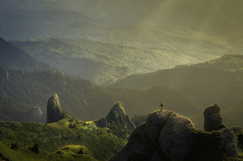 Chalé com lareira na serra de Gonçalves · Photo 5