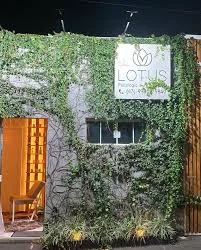 Nutricionista Vanessa Raqueli em Apucarana | Agilpass