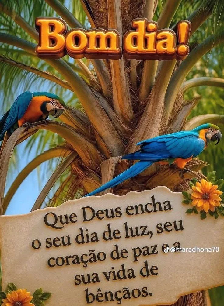 Logotipo Cuidadora e acompanhante Sueli Bino