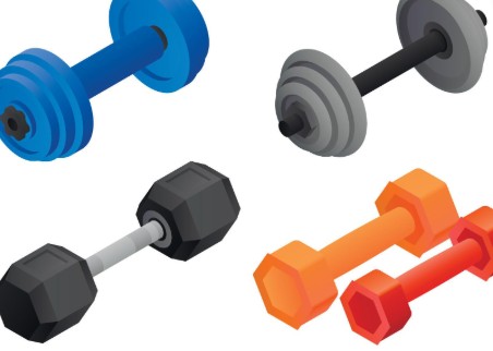 Focused on Fitness, LLC.