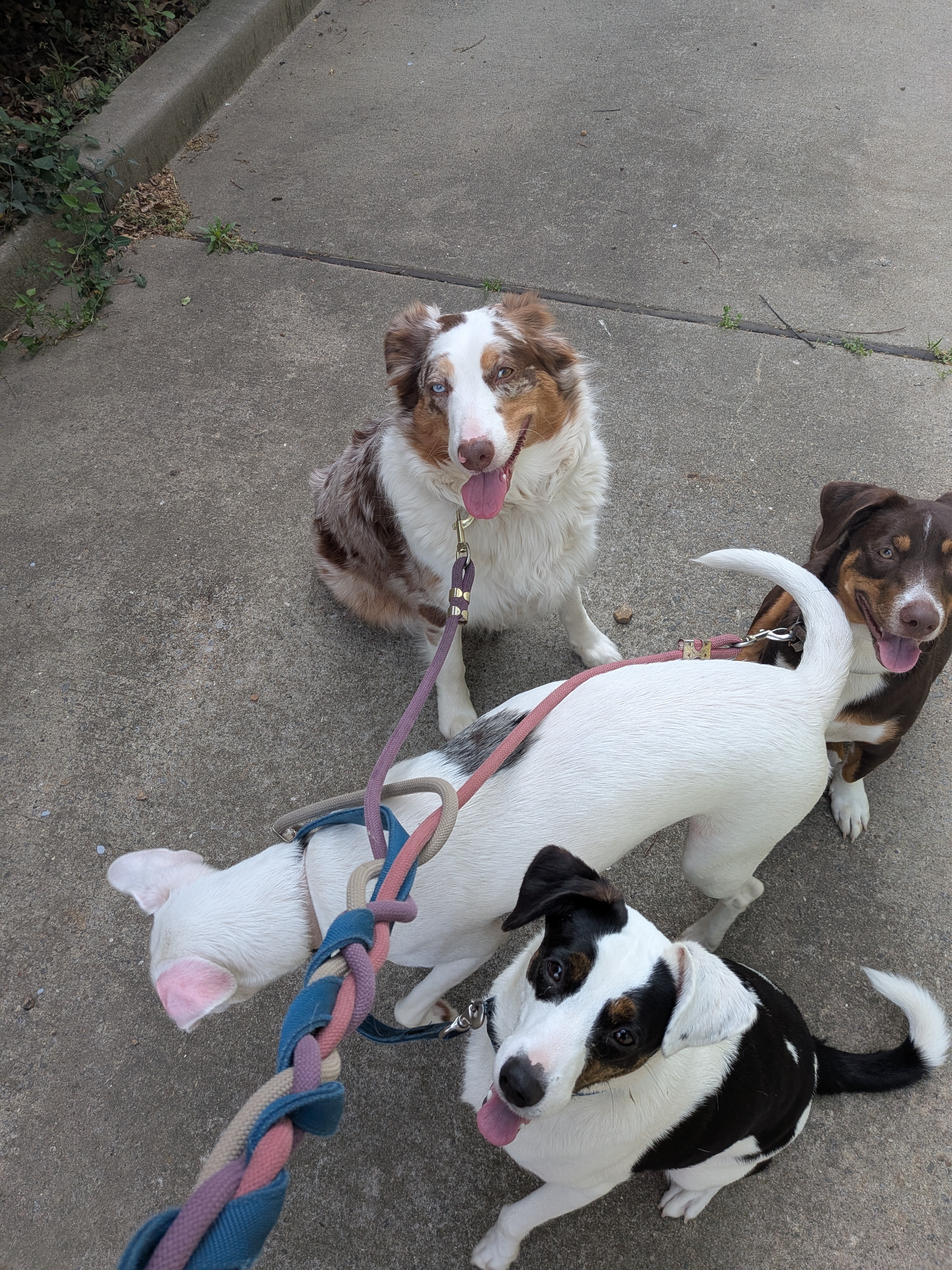 Get Moving with Theresa