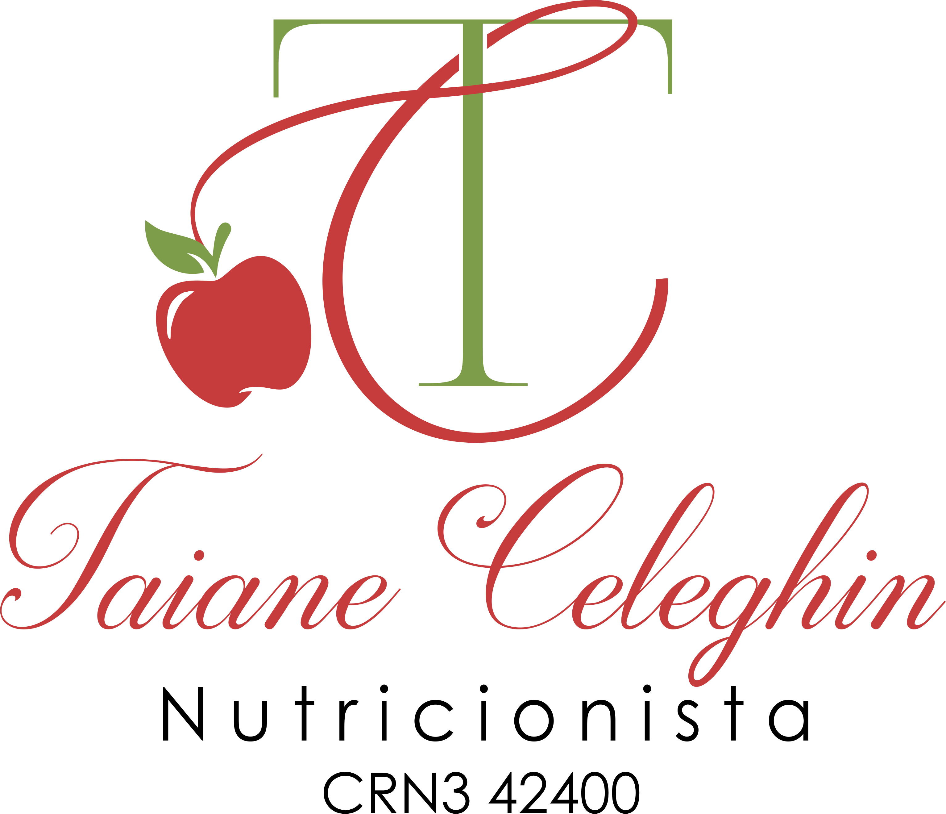 Taiane Almeida Celeghin - Agilpass