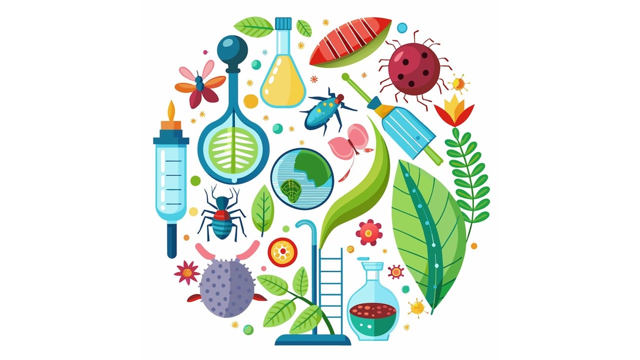 Professor de Biologia em Alfenas | Agilpass