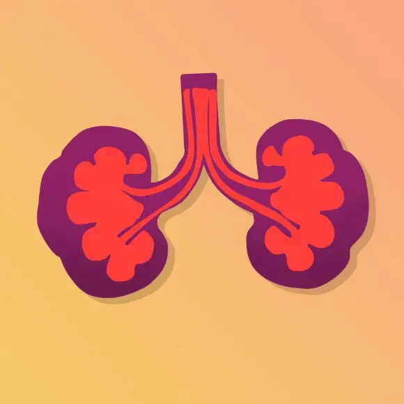 Urologista - Agilpass